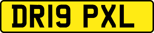 DR19PXL