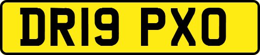 DR19PXO