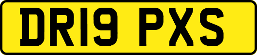 DR19PXS