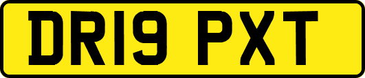 DR19PXT