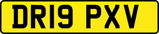 DR19PXV