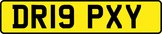 DR19PXY