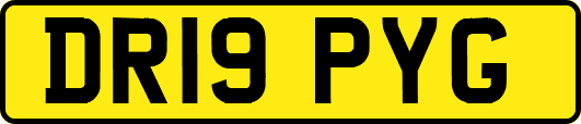 DR19PYG