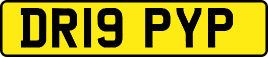 DR19PYP