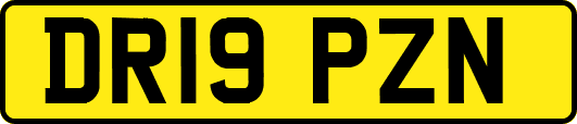 DR19PZN