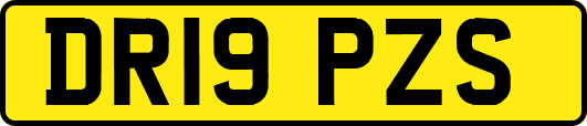 DR19PZS