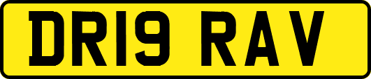 DR19RAV