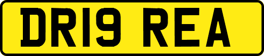 DR19REA