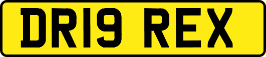 DR19REX