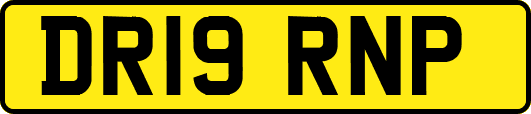 DR19RNP