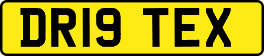 DR19TEX