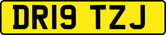 DR19TZJ