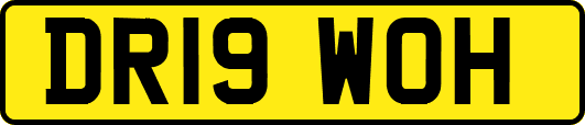 DR19WOH