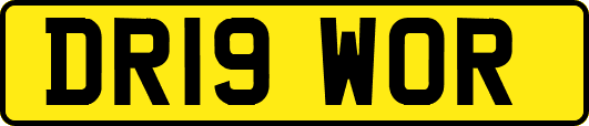 DR19WOR