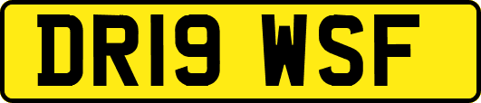 DR19WSF