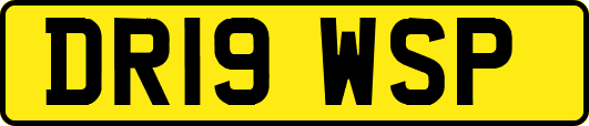 DR19WSP