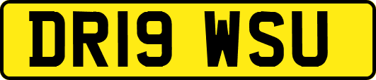 DR19WSU