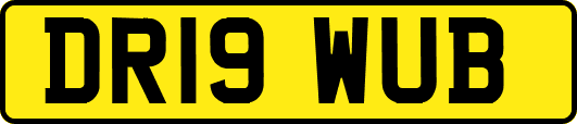 DR19WUB