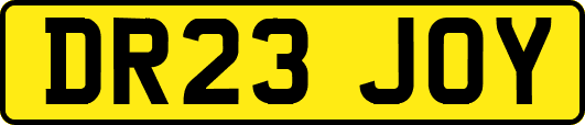 DR23JOY