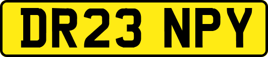 DR23NPY