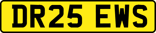 DR25EWS