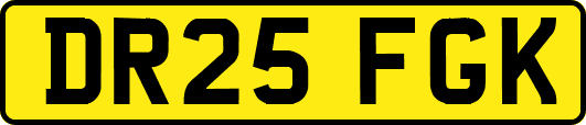 DR25FGK