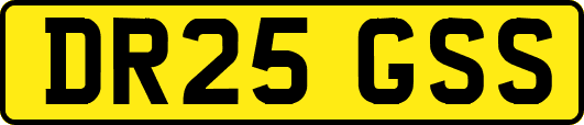 DR25GSS