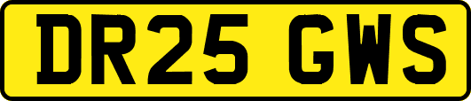 DR25GWS