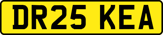 DR25KEA