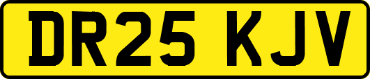 DR25KJV