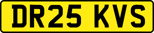 DR25KVS