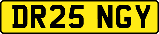 DR25NGY