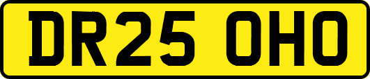 DR25OHO