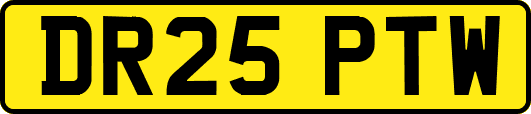 DR25PTW