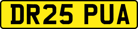 DR25PUA