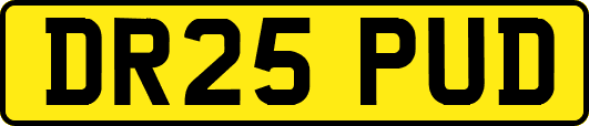 DR25PUD