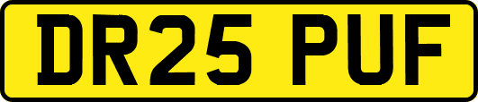 DR25PUF