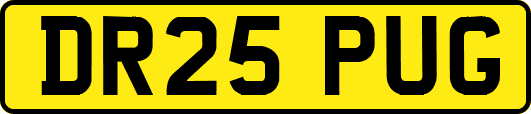 DR25PUG