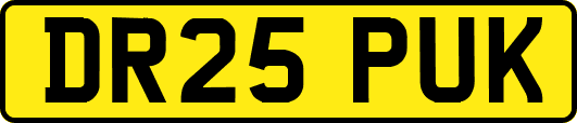 DR25PUK
