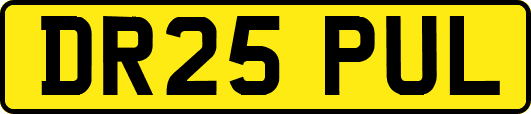 DR25PUL