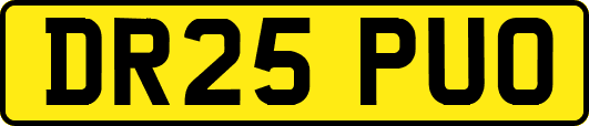 DR25PUO