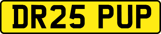 DR25PUP
