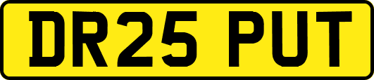 DR25PUT