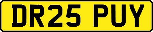 DR25PUY