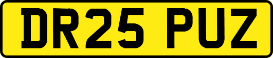 DR25PUZ
