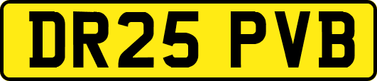 DR25PVB