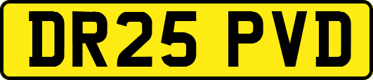 DR25PVD