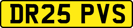 DR25PVS