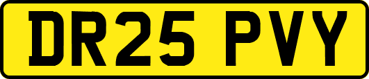 DR25PVY