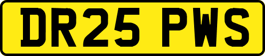 DR25PWS